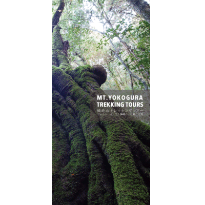 ゲストハウス 縁 パンフレット