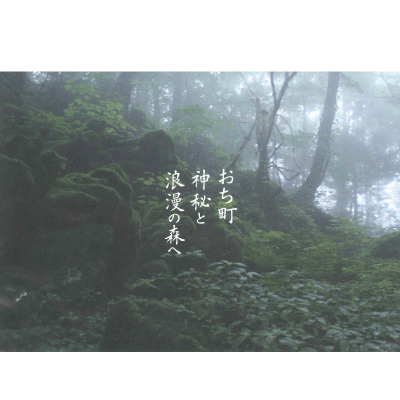 横倉山散策マップ 越知町観光協会 パンフレット